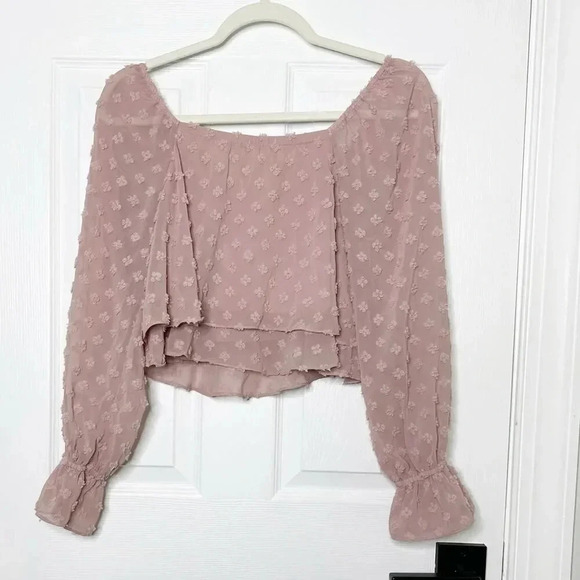 ALTAR'D STATE Size XS Crop Top Dusty Pink Long Sleeve Textured Floral Polka Dot - Picture 6 of 6